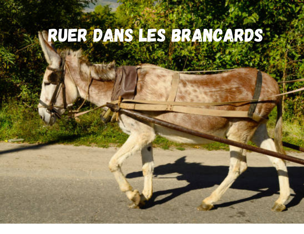 Ruer dans les brancards