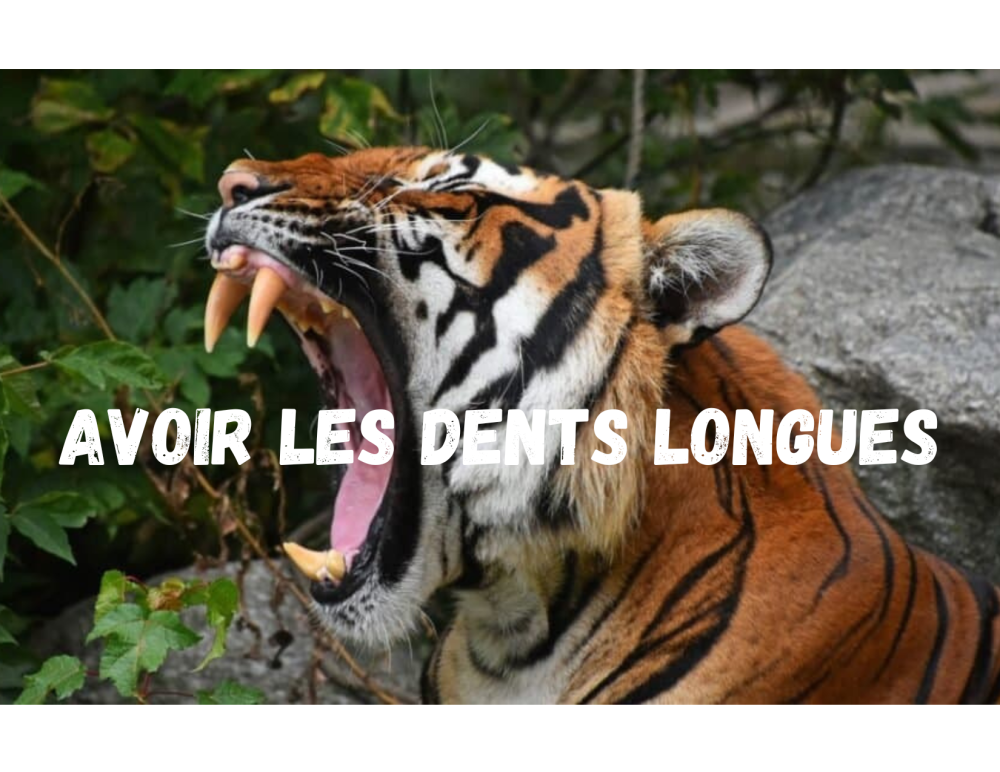 Avoir les dents longues